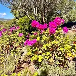 Σπίτι διακοπών A Nepita Splendide Vue Avec Piscine *