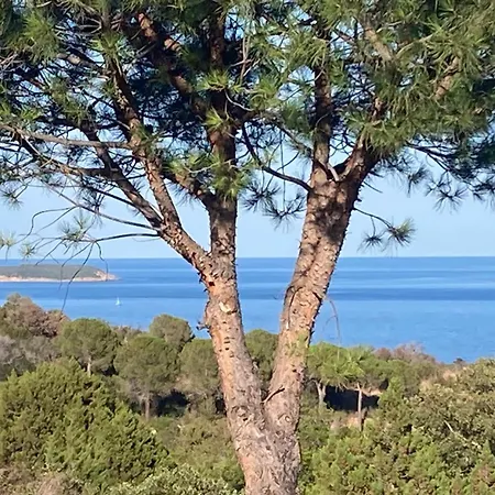 A Nepita Splendide Vue Avec Piscine Vakantiehuis Porto-Vecchio (Corsica)