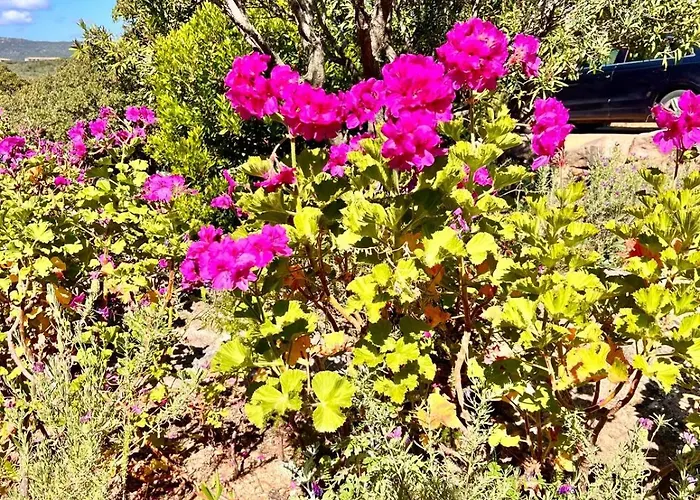 A Nepita Splendide Vue Avec Piscine Feriehus